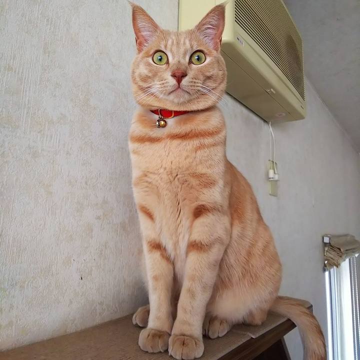 F4e90bb5 8231 4064 993a 6299ccff3048 1576292927059