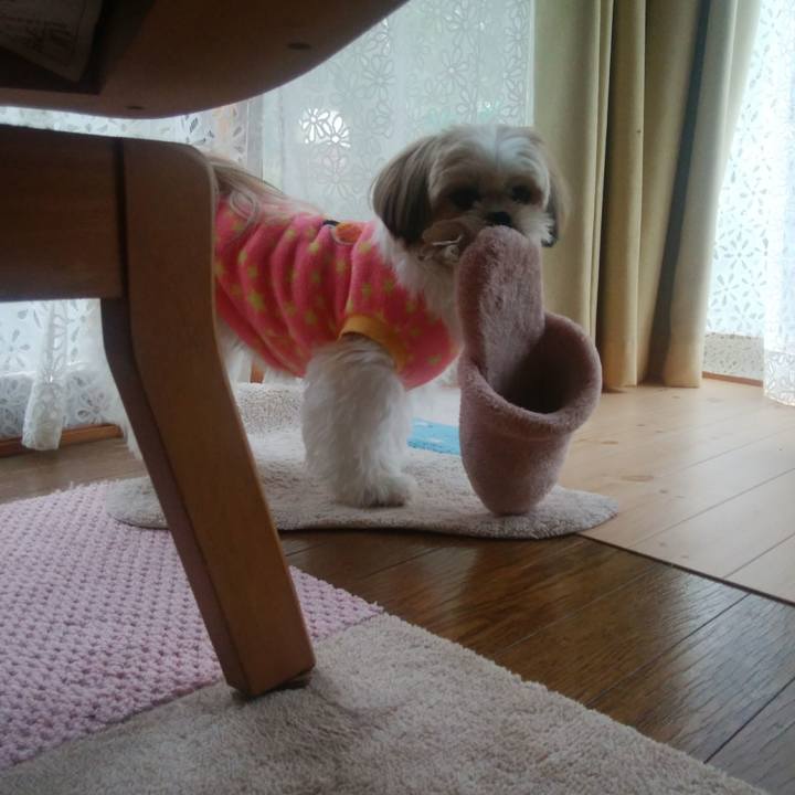 F4e92e1f fa73 4792 a599 dc802fedd28f 1510620080140