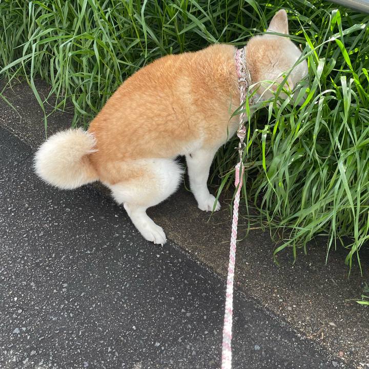 F4e932cd 4ea9 4278 859a 152b3a1bbbd5 1681605952792