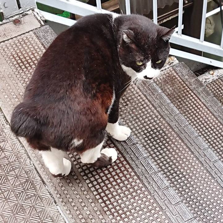 F4e94666 71a1 4c5f ad4a 192c89ee16f2 1619682573457