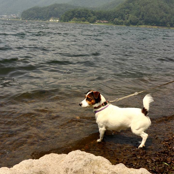 F4e9d042 15ad 41aa a997 aecce71e9922 1596881056898