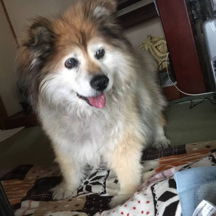 F4ea61d5 b807 474c 822b 63d01bfd22c1 1585850065302