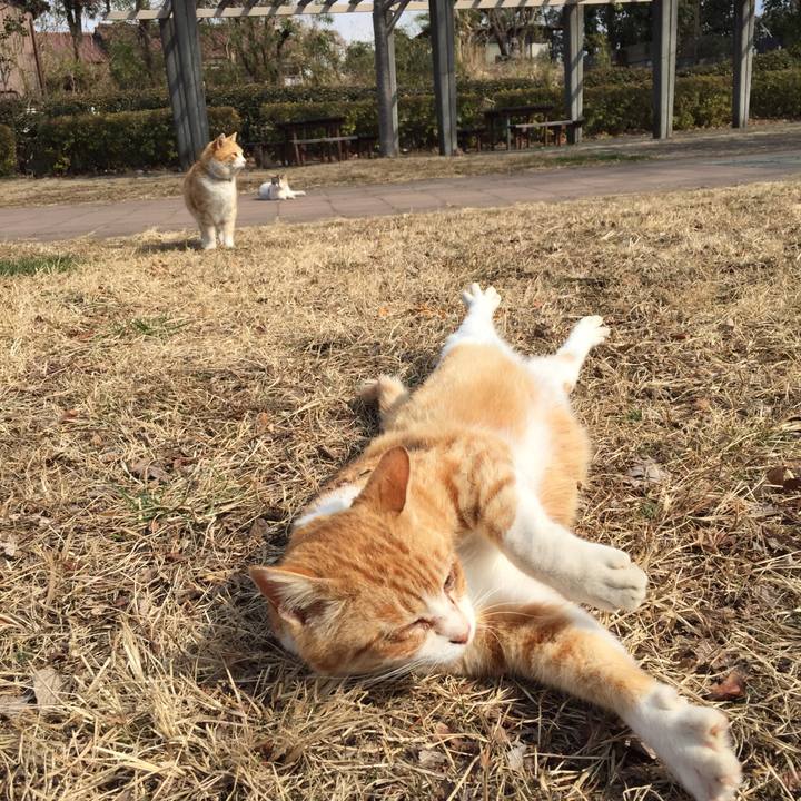 F4ea7d5d 7958 48c5 bf7a 92a4485f12d8 1518793844123