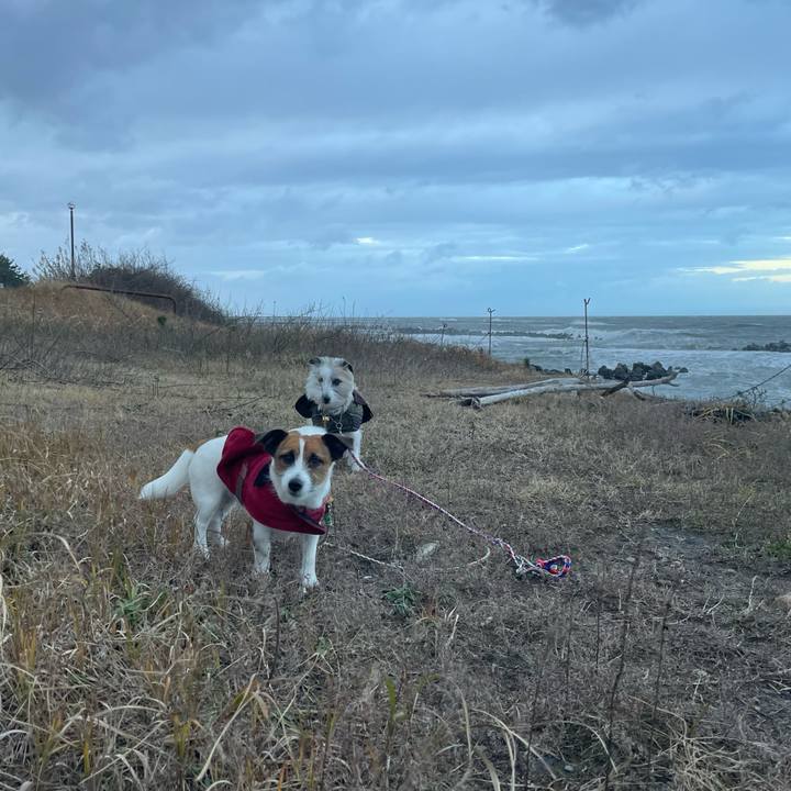 F4ea8802 c066 4e50 8279 e54ff0c5a1e3 1733266041701