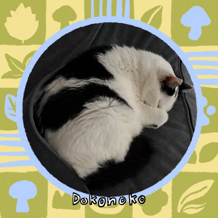 F4eac9d4 0bb2 48d8 a633 c6fa19869132 1763367408861