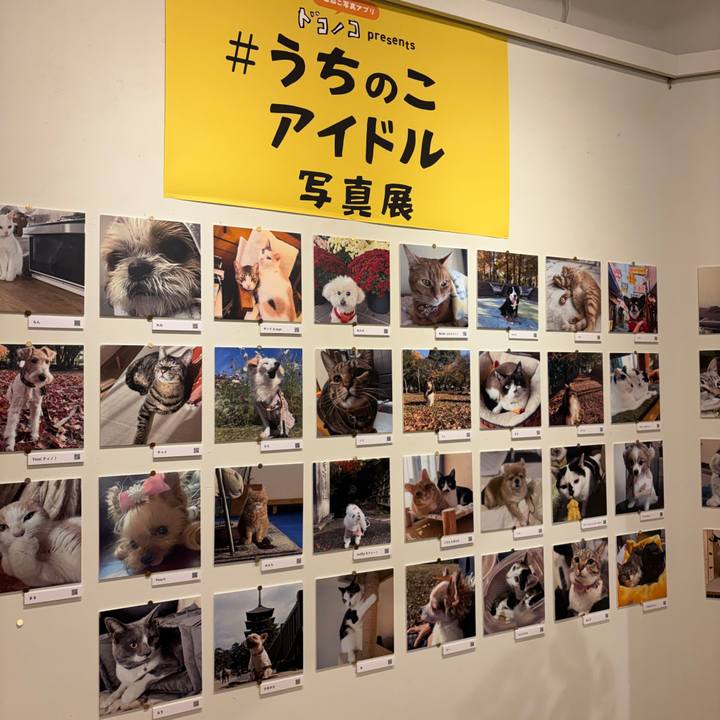 F4eaca04 9f57 4c53 92d7 13ecf993689a 1766162561214