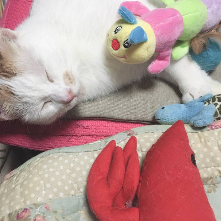 F4eace2f 89bf 4f48 b86a a4f1b2aef72e 1570278488556