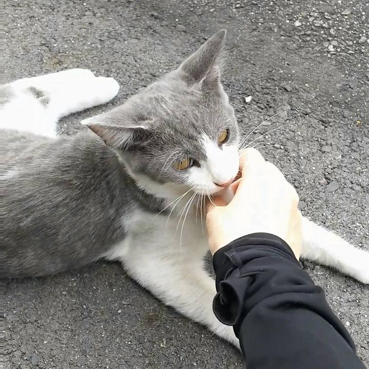 F4eb1745 aea9 4f87 802c 5002be002d43 1534238184573