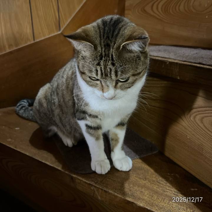 F4eb3604 fe4b 446c 99d6 d6bb15d579ae 1765922938865