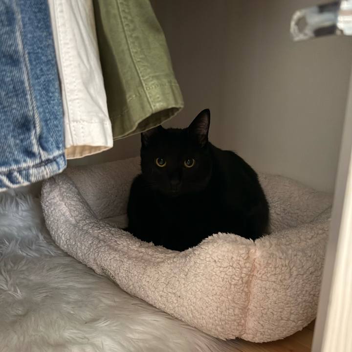 F4eb4767 f993 425d b7b6 ee8808fbf666 1772926355769