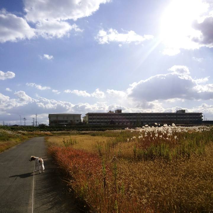 F4eb913d 7f33 4beb 9771 6fd279805e15 1511080369327