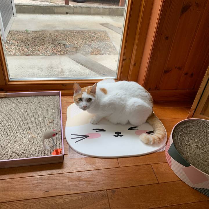 F4ebcdb0 bf2f 40ba bc3f 8b6d009e1cab 1626497336411