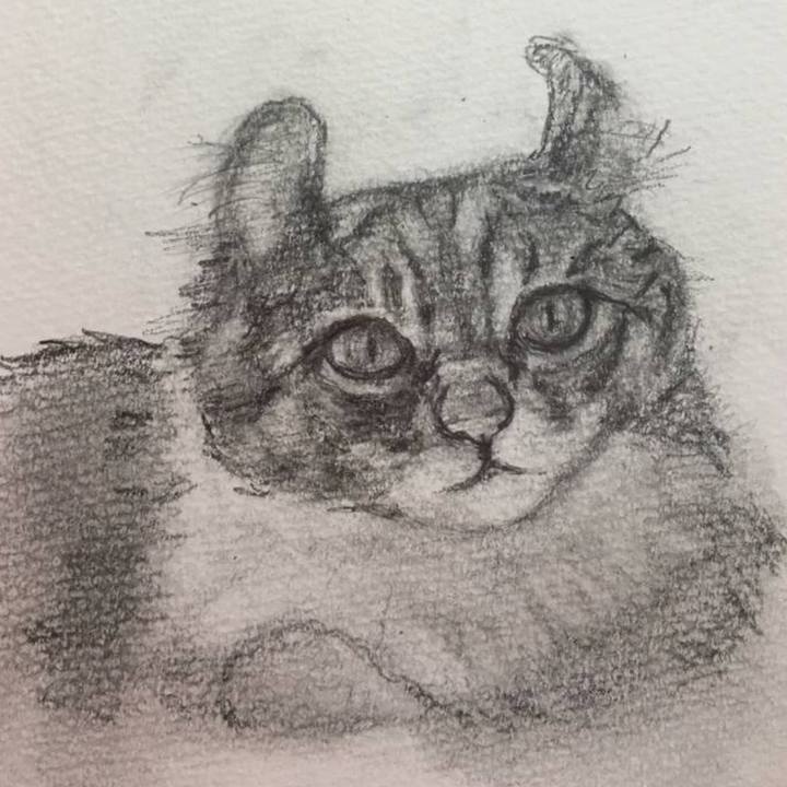 F4ebe466 0bb7 4cb5 a27b 52077c09438a 1531710904871