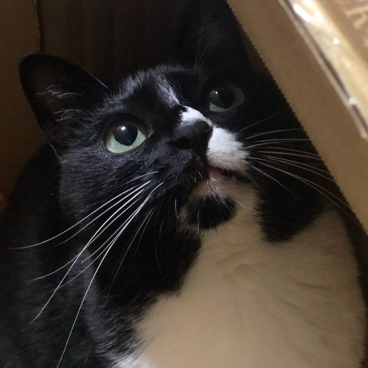 F4ebe570 47f2 49ca a5f9 8eb196e6b5be 1556972888048