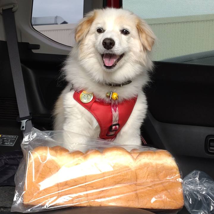 F4ec208a ca50 4179 99fb 9d4f2caced24 1653109917812