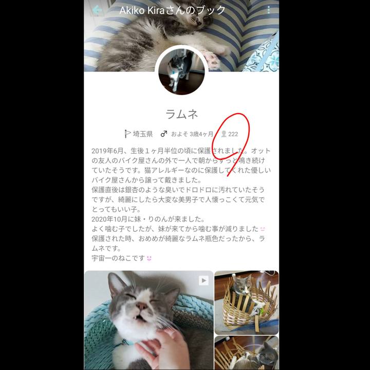 F4ec8b41 3621 4c1d a8d7 3b22e0df9253 1660433579962