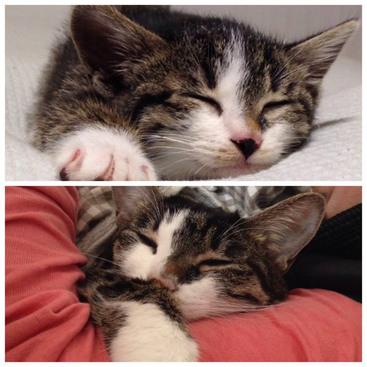 F4ec9dda a993 458c ae4b ebd6251d44f3 1512821191318