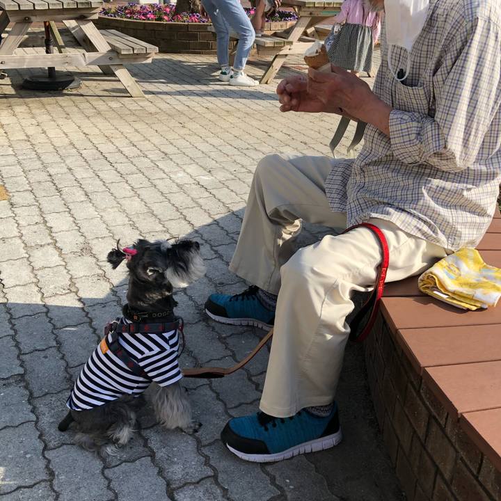 F4ecb771 abb9 4abf 8593 c42a3678544d 1683441935270