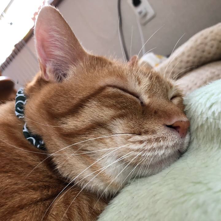 F4ecbdb4 116c 4a07 b67b 2d4ddf9bfae2 1558470932378