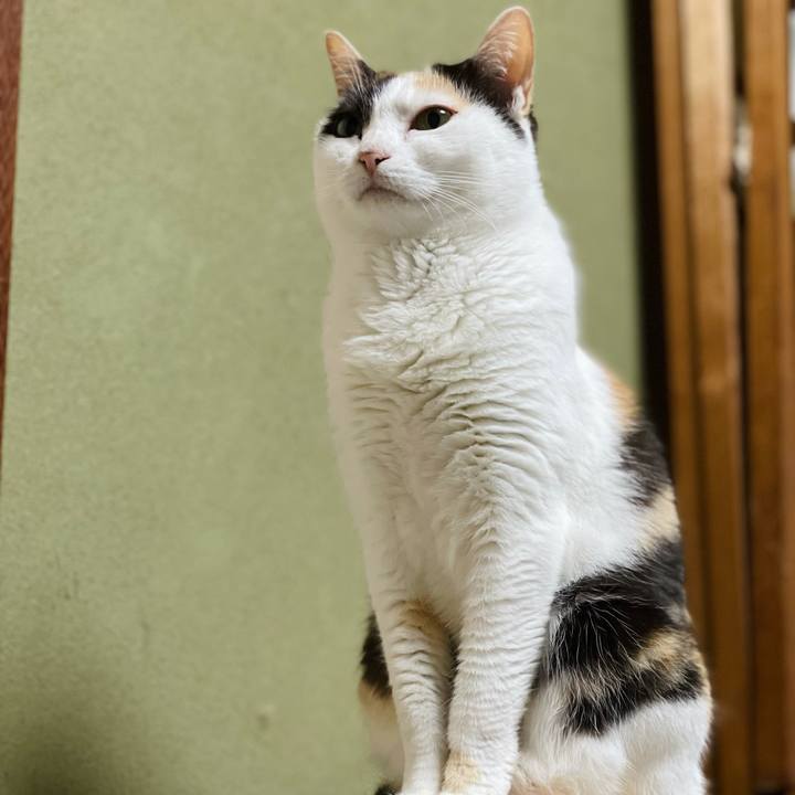 F4ed23c7 a9ba 4a53 8626 696b8e310187 1628645333567