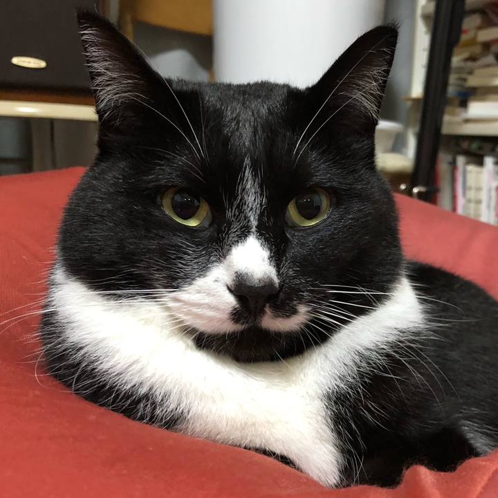 F4ed3582 ee7c 4291 a227 c137d6d8c1fb 1647228884475