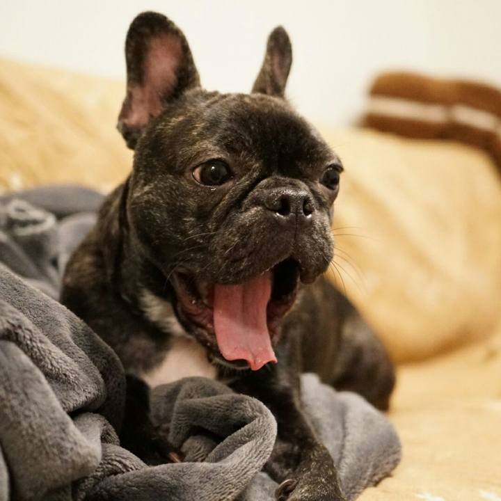 F4edc4bb f5fd 4fec 81a9 dd565c46f830 1510670658120