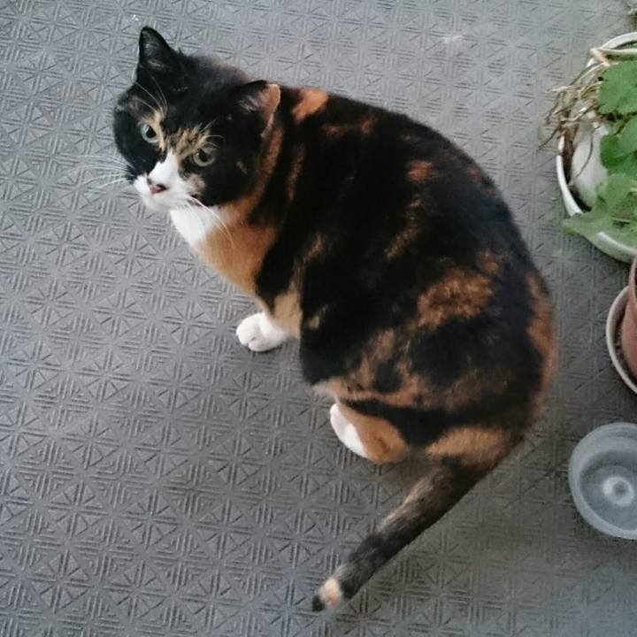 F4ee24c6 19b3 4034 a76d 19102c75b137 1517356778106