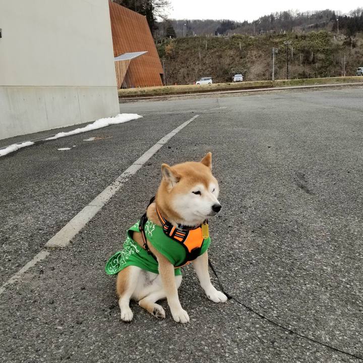 F4ee3887 ff30 4a8d 8e37 095c5c847057 1584078023159