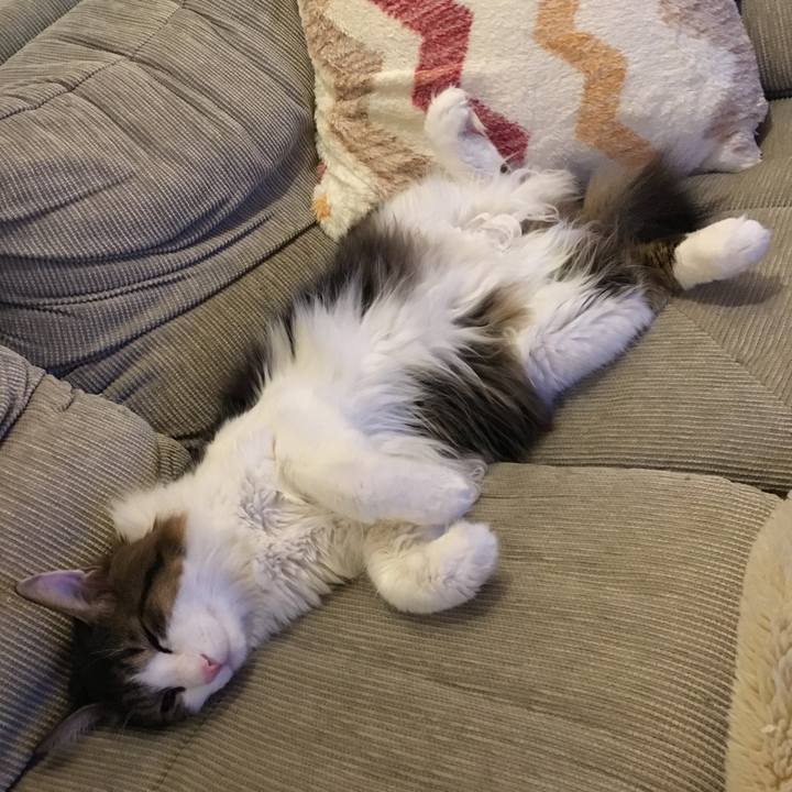 F4ee4c98 84d2 416a 8f1b 4bb6c4738a0f 1511091242075