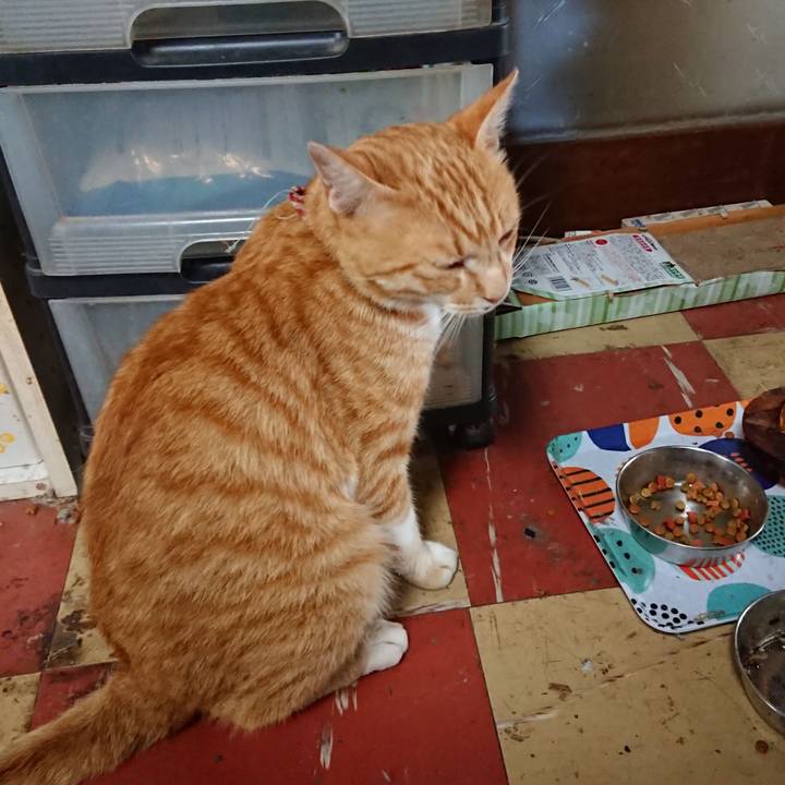 F4ee6f68 9882 4ea1 8f2f 58f5570a96f1 1562992764009