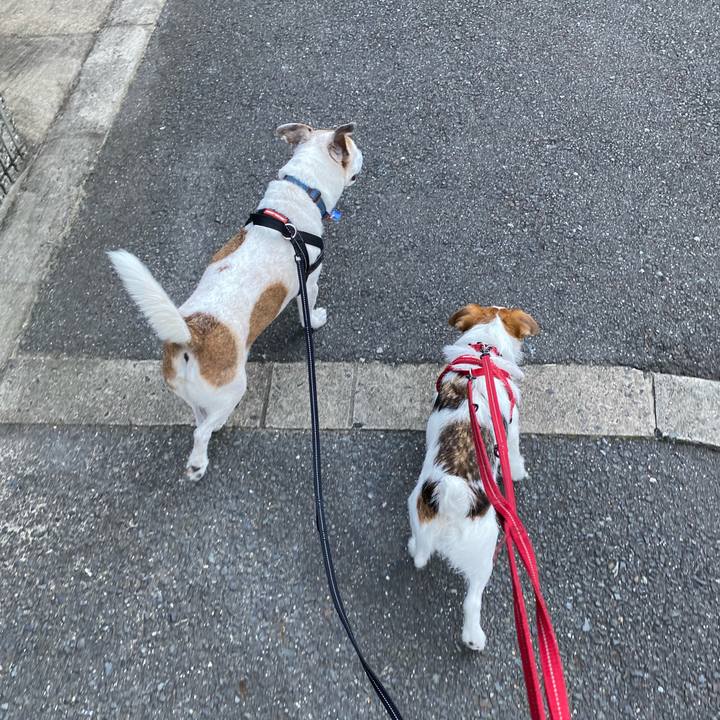 F4eeabe7 546b 4d98 934e 8e80e2ee2f97 1626911002456