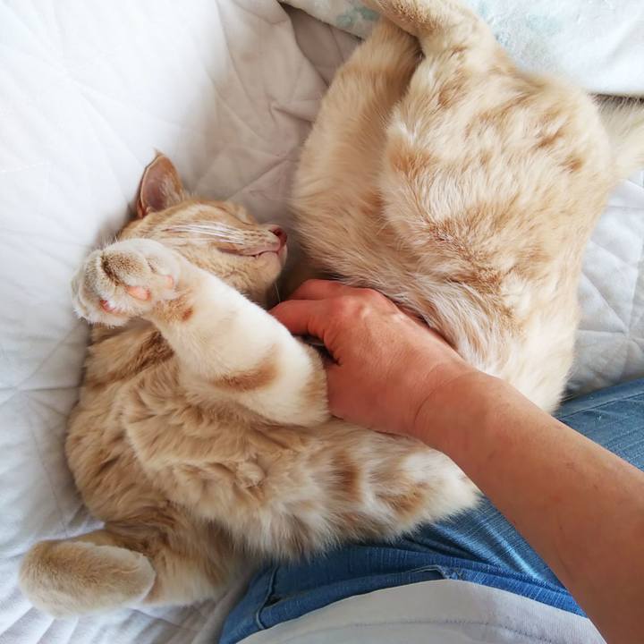 F4eeecfb 0f18 40ea 9a29 ac9198a1b994 1659829968906