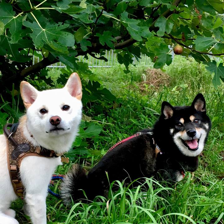 F4ef033d e09b 46b2 9c0f f573386e3e4e 1537177663310