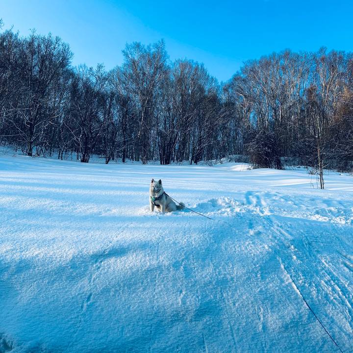 F4ef55f9 717d 4431 8de6 3695a0ca7ea1 1743373635465