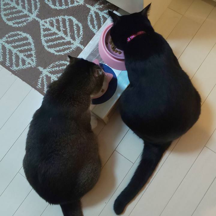 F4ef78a3 0a52 4100 b1f6 1f5fe4340f9a 1565273043474