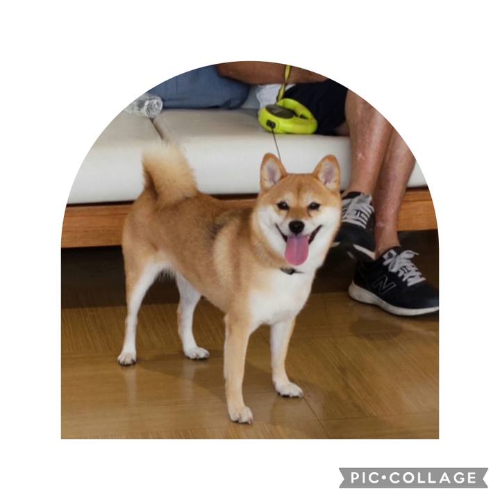 F4ef8d4f ac8b 49b9 89f2 abe079c7c888 1693373598989