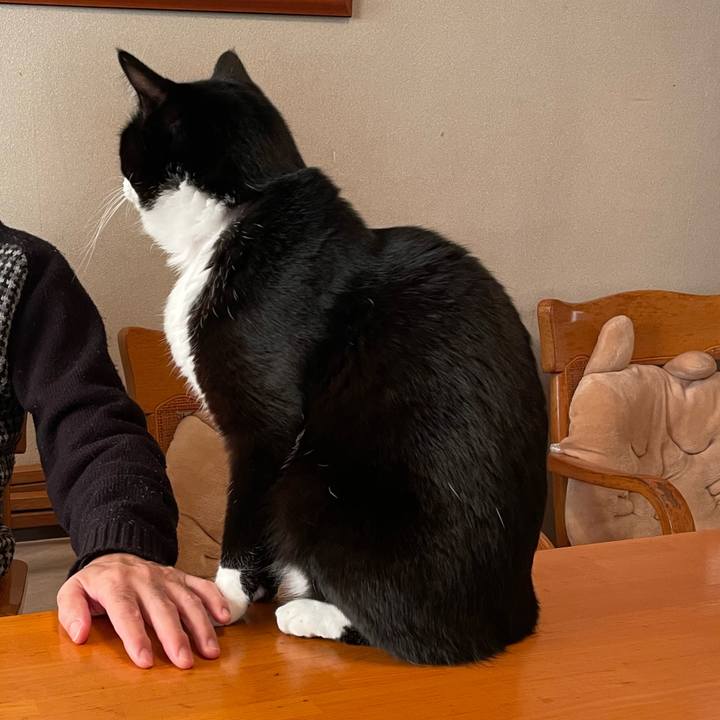 F4ef9a62 64f6 4e71 8407 5717983d9818 1734485545710