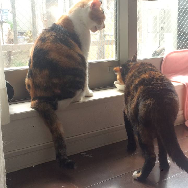 F4efb935 19e7 4c5f a3f6 e62811f98bc8 1569761311506