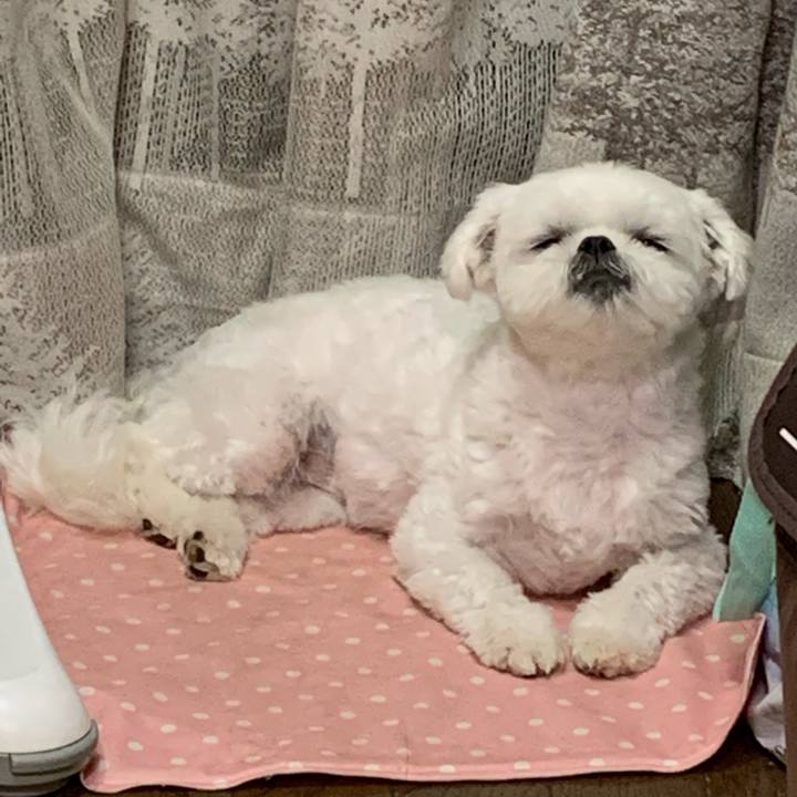 F4efba30 7713 46e4 9728 bedcd80d06d0 1650546283494