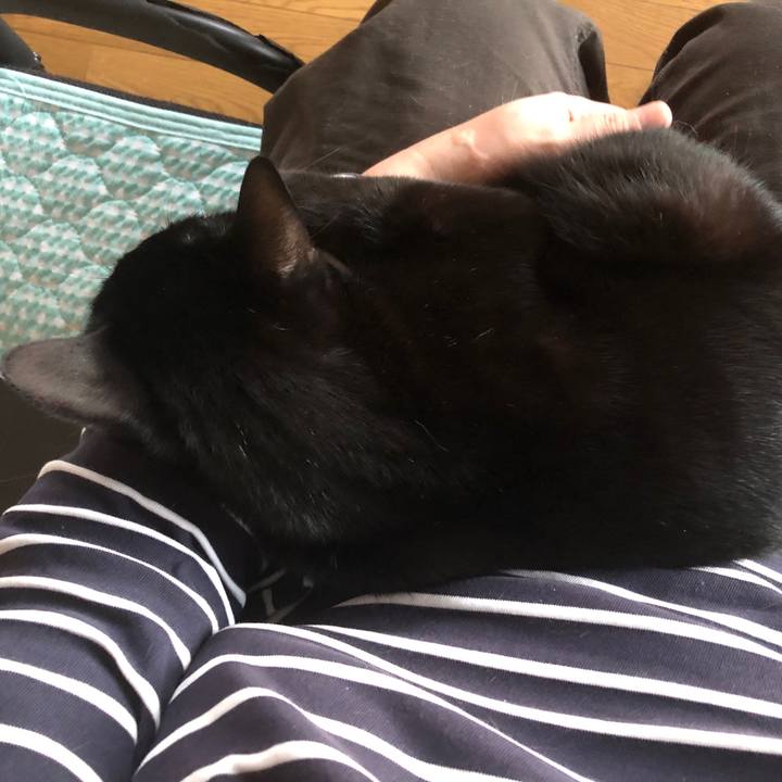 F4efbc41 686f 4bf0 93b7 c8e0244c0796 1665216017936