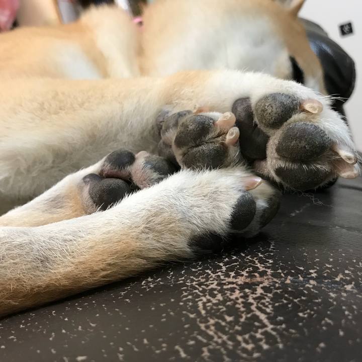 F4efc2fe 900e 4ef8 af92 f6c0725682fa 1526890315447