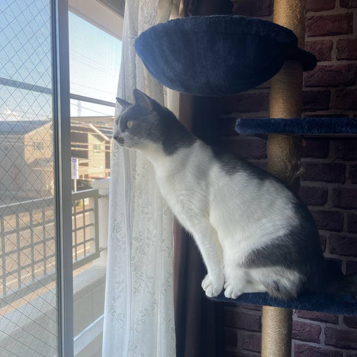 F4efd244 f50e 458a 93dd 41028c69f483 1752999853876