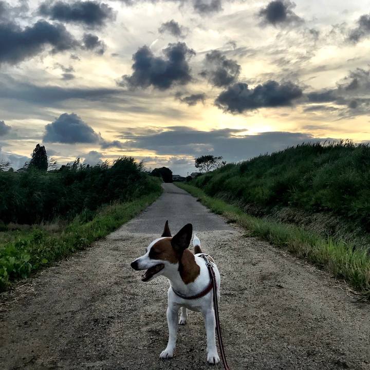 F4f0002e 3cab 4a6c 8a6e f909926b70c3 1530618819332