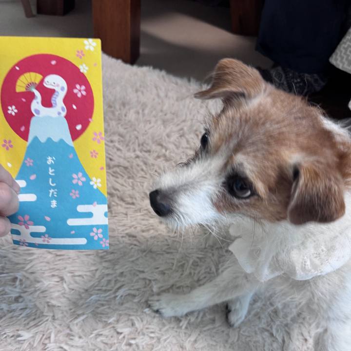 F4f002fe 2ddd 4232 ad41 67d87e7cb0a4 1736413248314