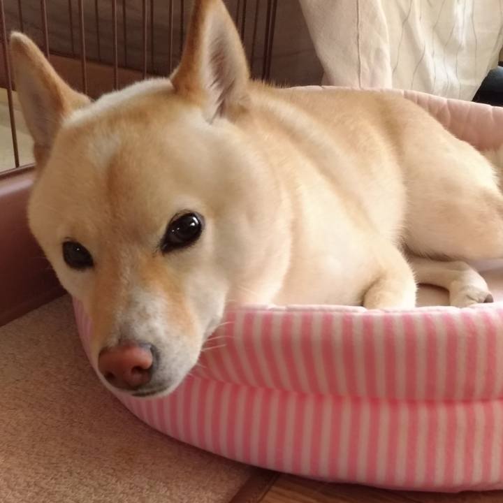 F4f04ef4 6e93 4c54 bb19 a06d9b71f700 1591144687744