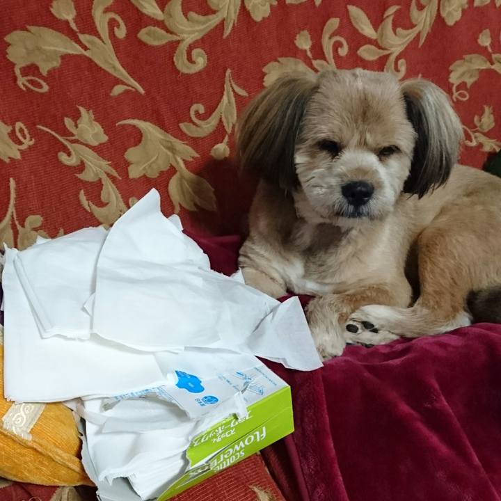 F4f05a88 e2b8 40bb 83e3 a04f9bfb9139 1510618158390