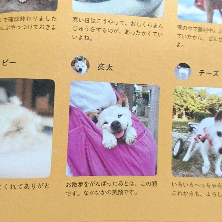 F4f05dc4 7f37 4b5a 9312 006c5c7db787 1556337573300