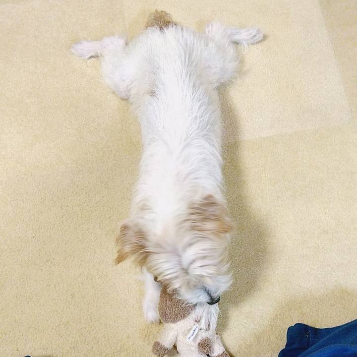 F4f062cf f261 4825 ad54 8dc6e876998d 1568638803525