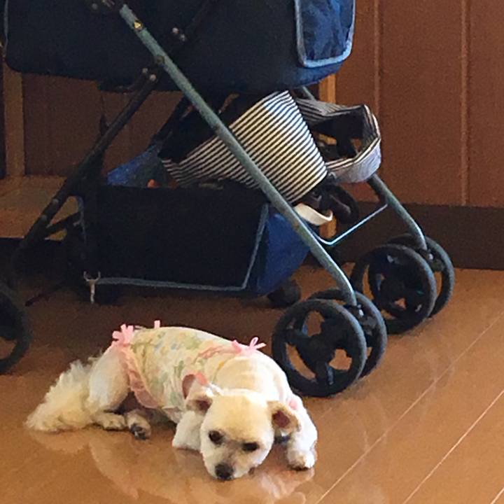 F4f08cd1 fba8 4518 989e b8cbd552e8ba 1532931586870