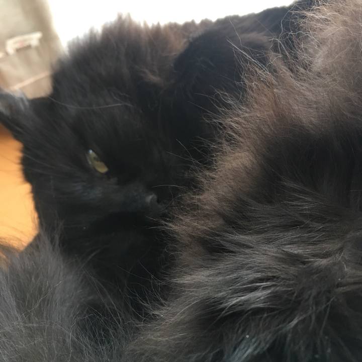 F4f09d02 0b92 442a 8900 1eb4753403b3 1548915747501